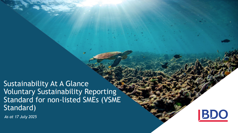 social media card showing turtles in the ocean